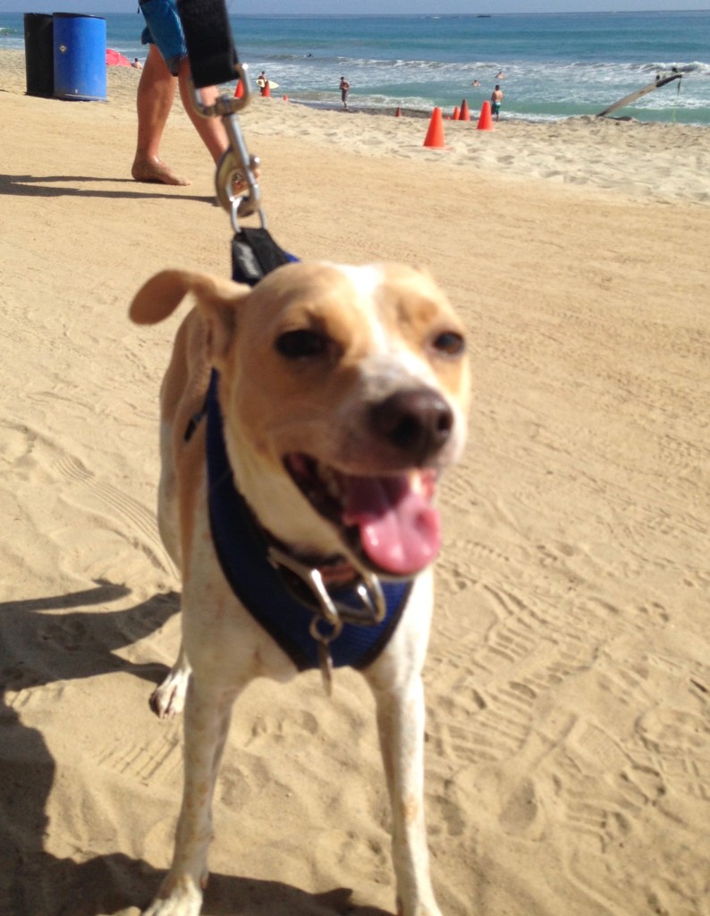 This image has an empty alt attribute; its file name is img_1836.jpeg